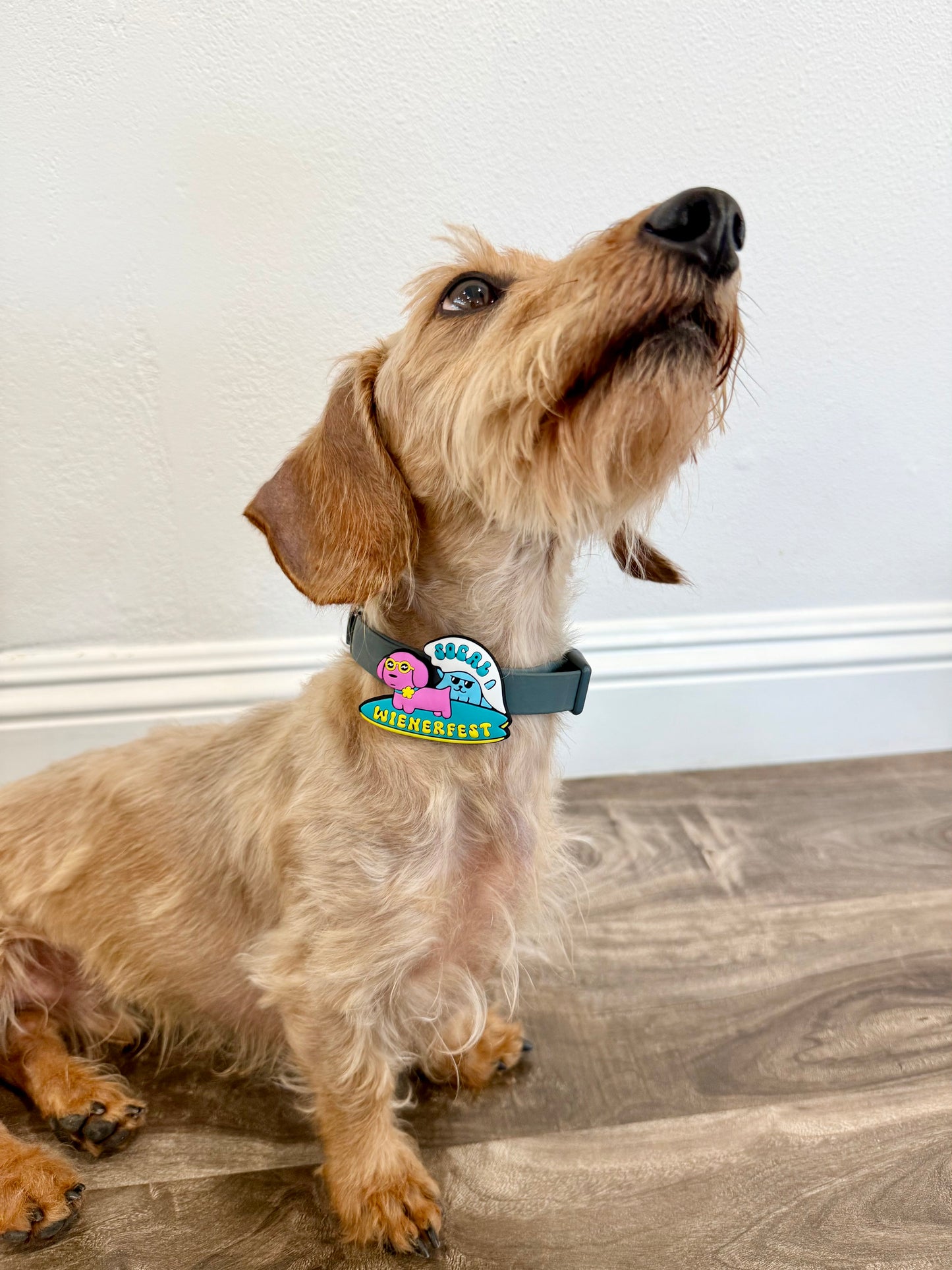 Wienerfest 2025 Silicone Dog Charm | Limited Edition
