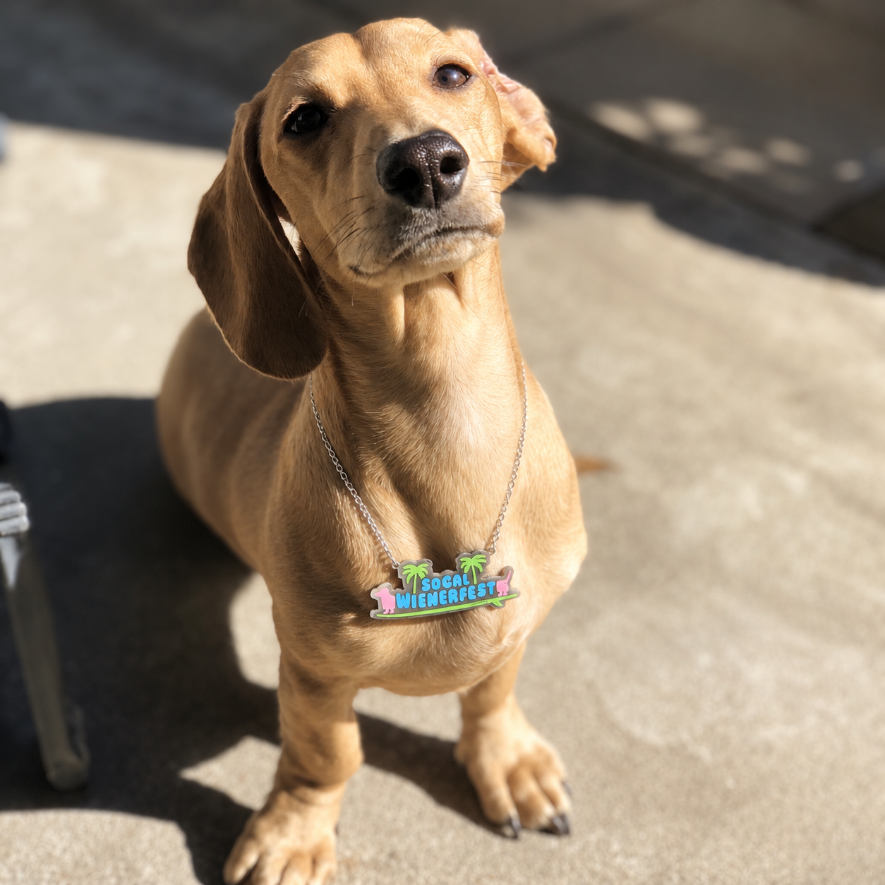SoCal Wienerfest Logo Necklace